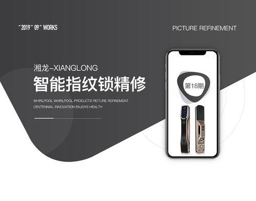 湖南本地品牌湘龙 一组智能指纹锁产品图片精修